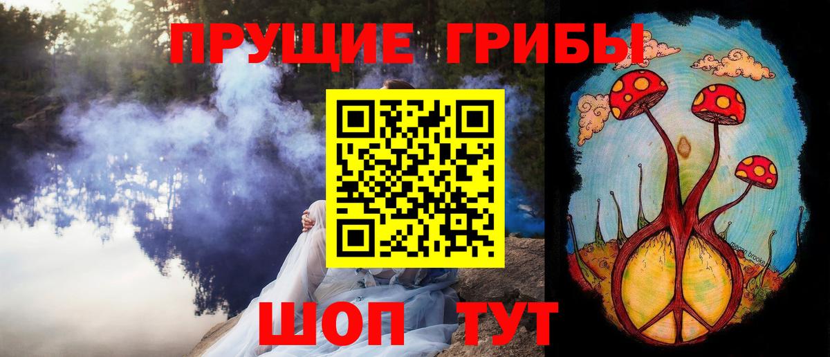 купить  цена  Вход с VPN  Комсомольск-на-Амуре  Псилоцибиновые грибы мицелий 
